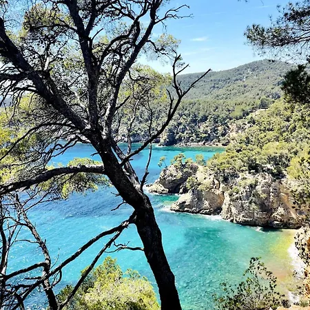 Casa Del Sol, A Quelques Pas Du Port Et Des Plages Apartment *